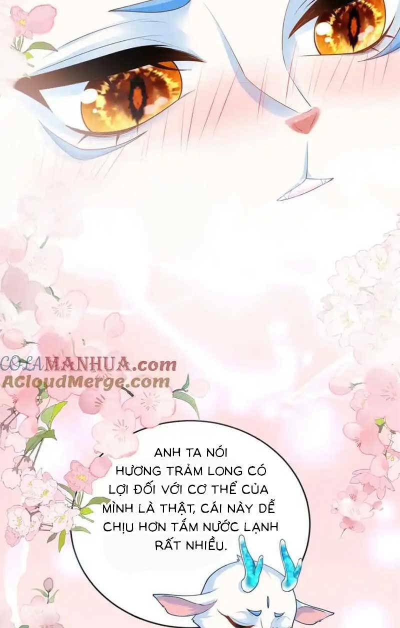 page_38
