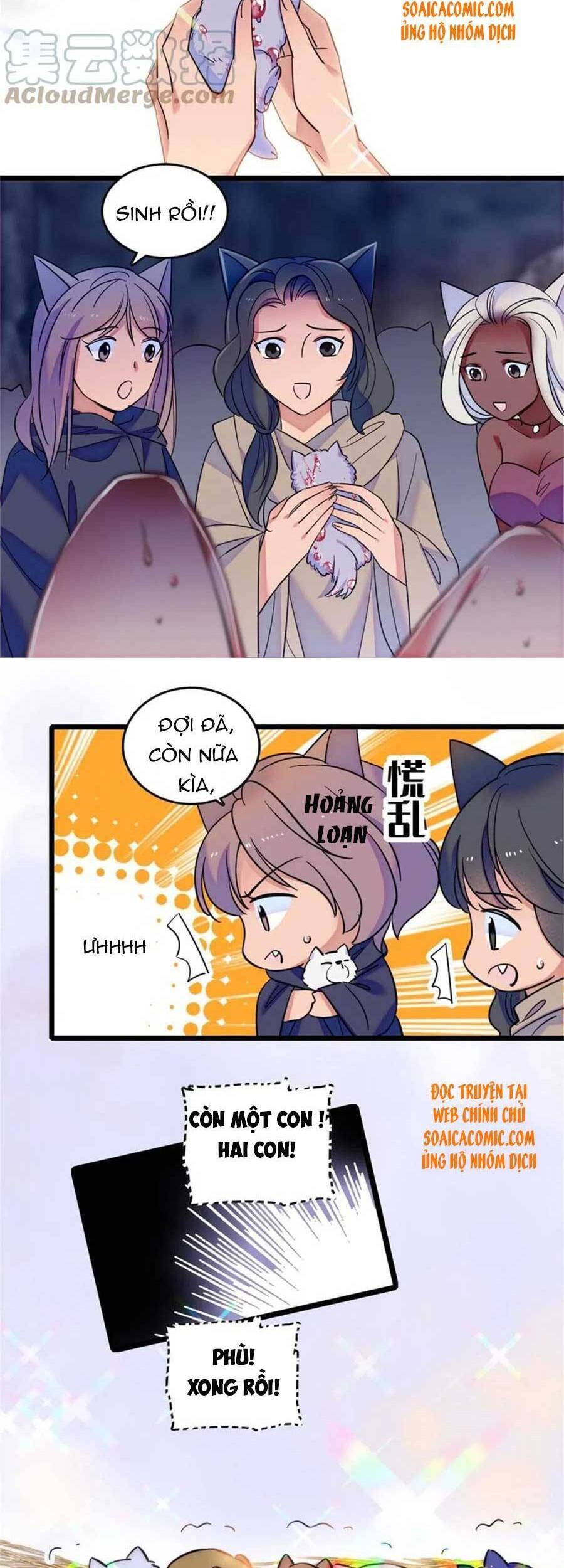 page_7