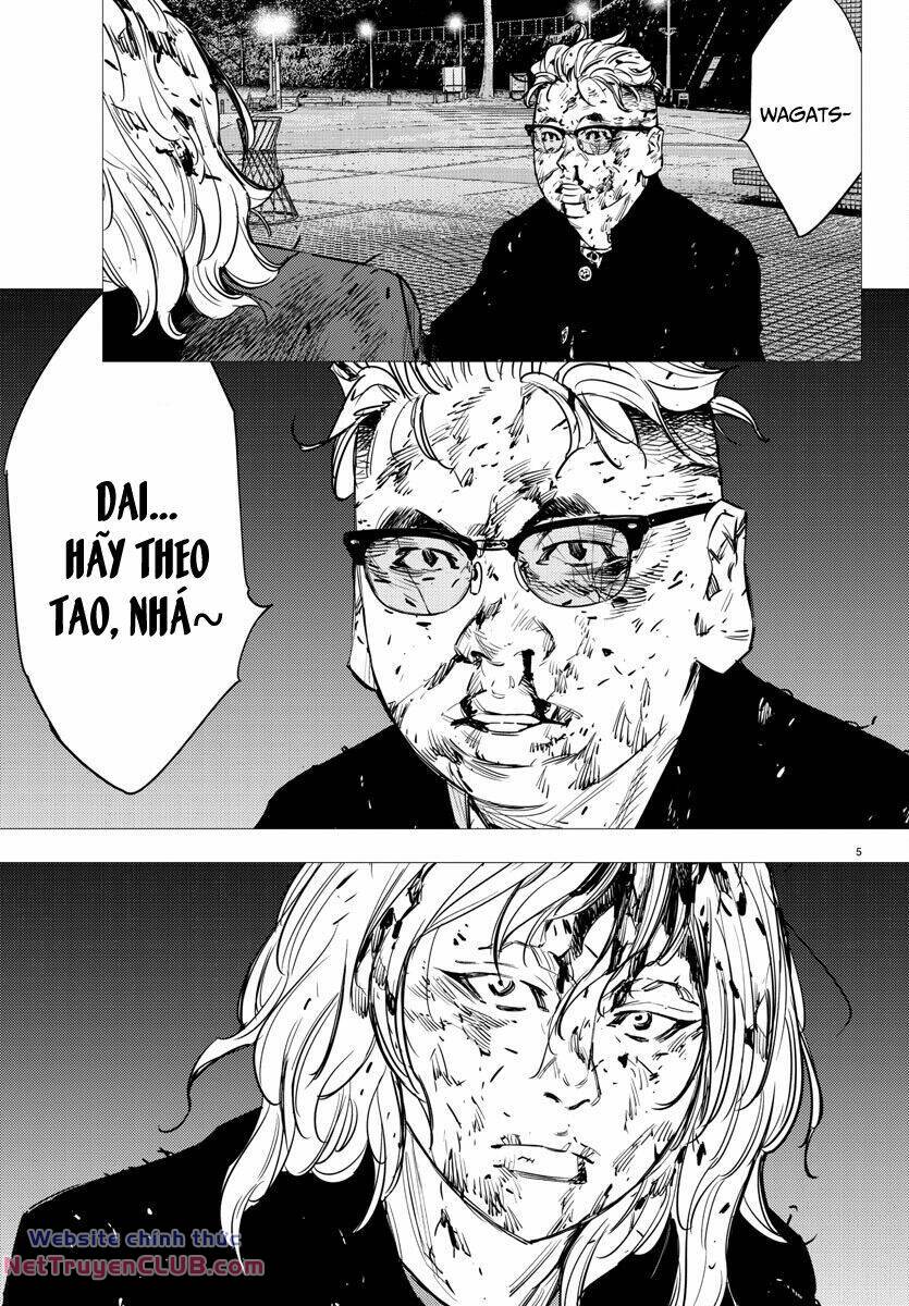 page_5