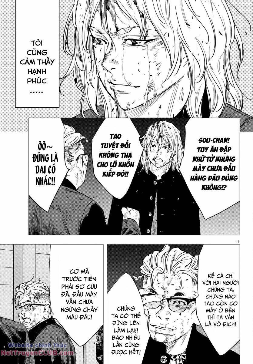 page_17