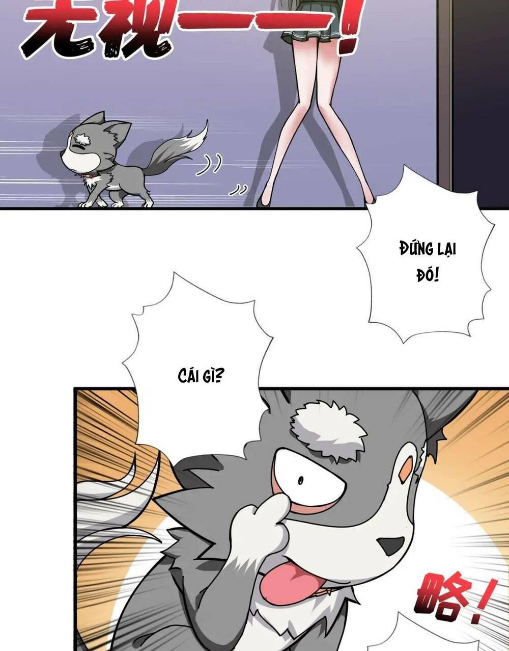 page_5
