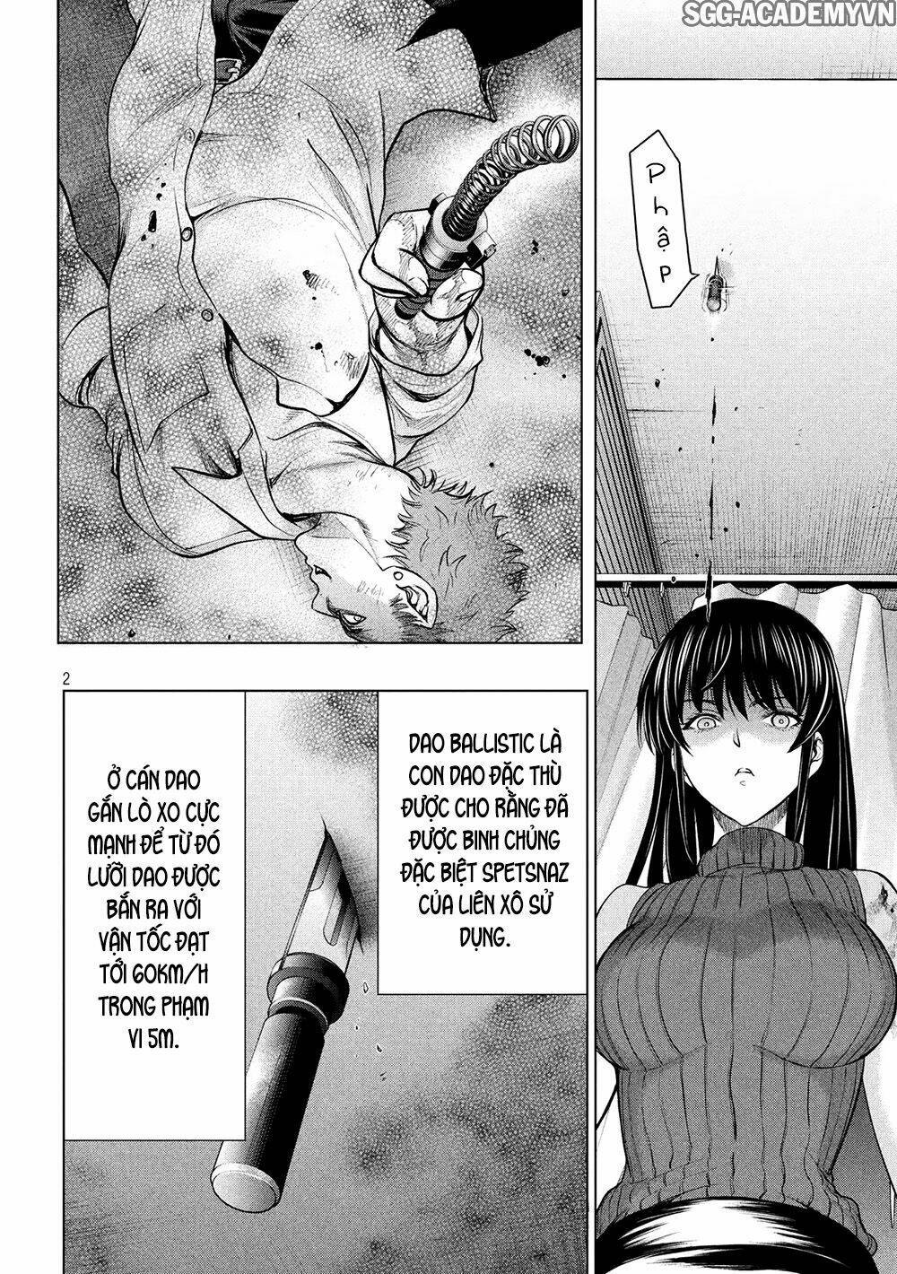page_3