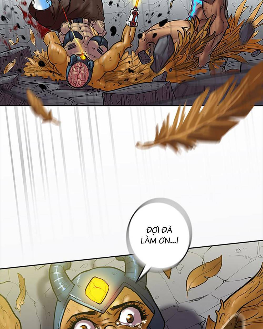 page_29