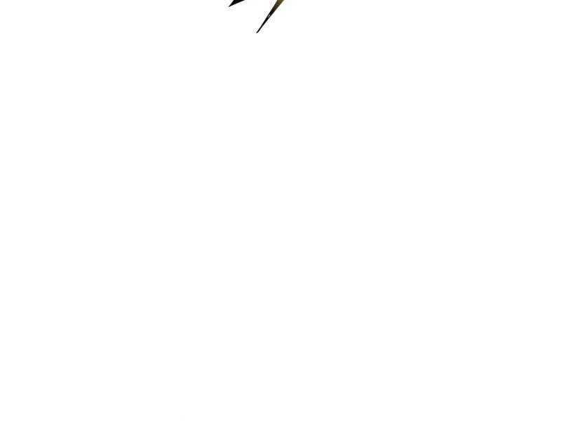 page_17