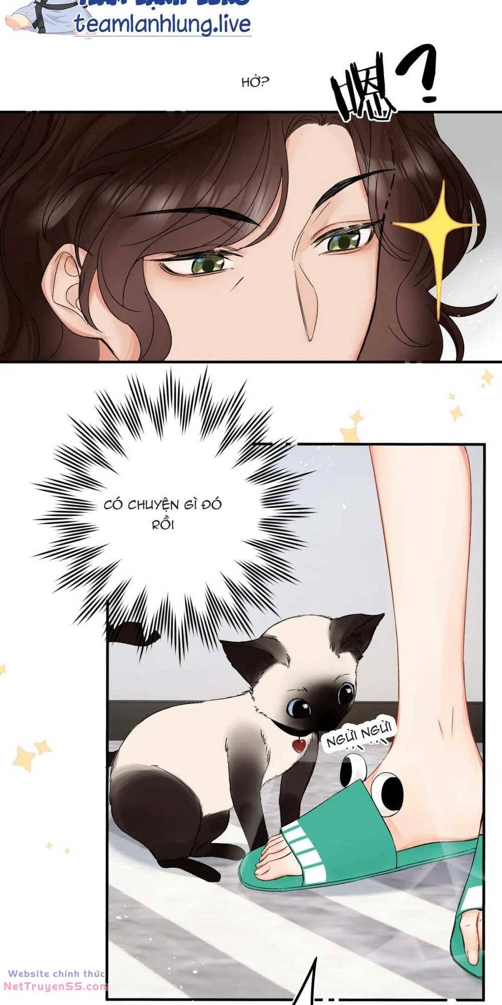 page_12