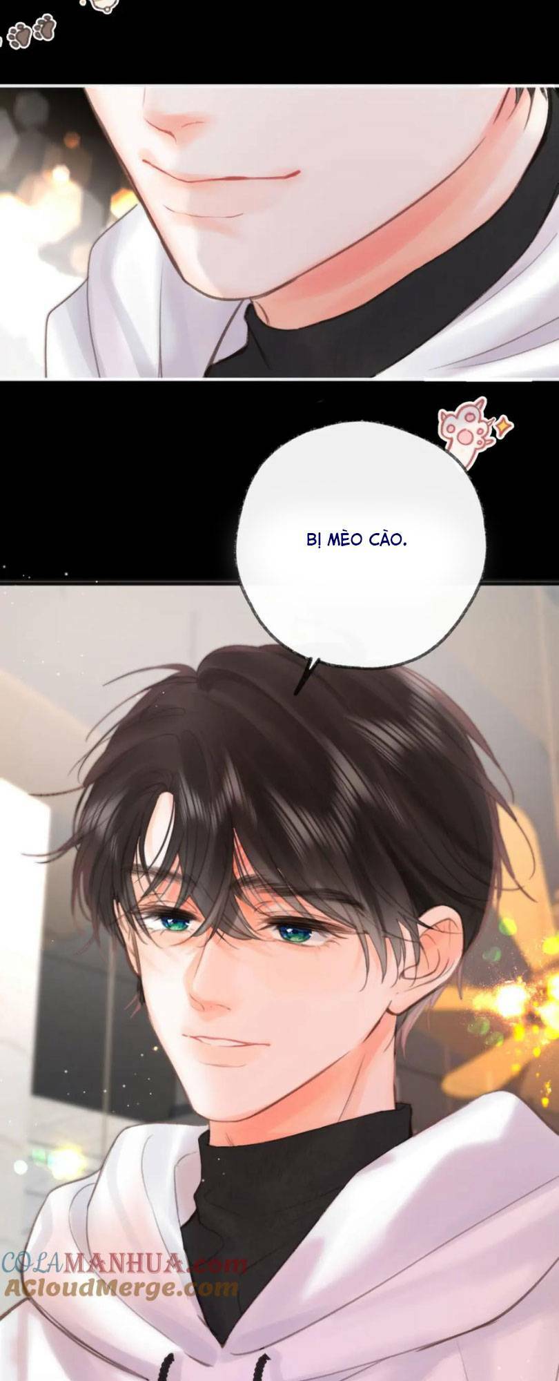 page_29