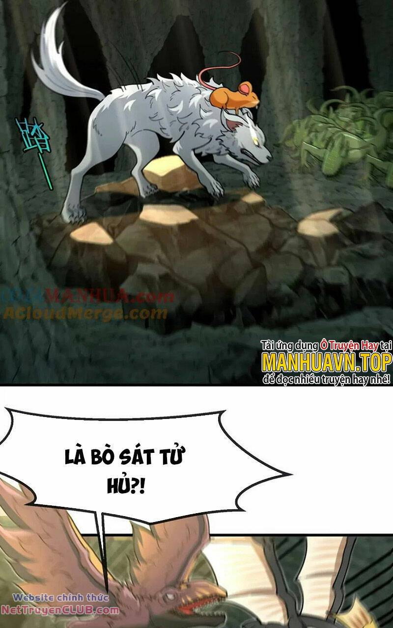 page_37