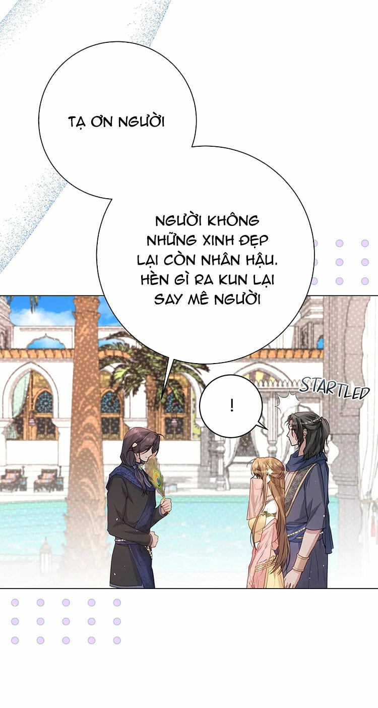 page_24