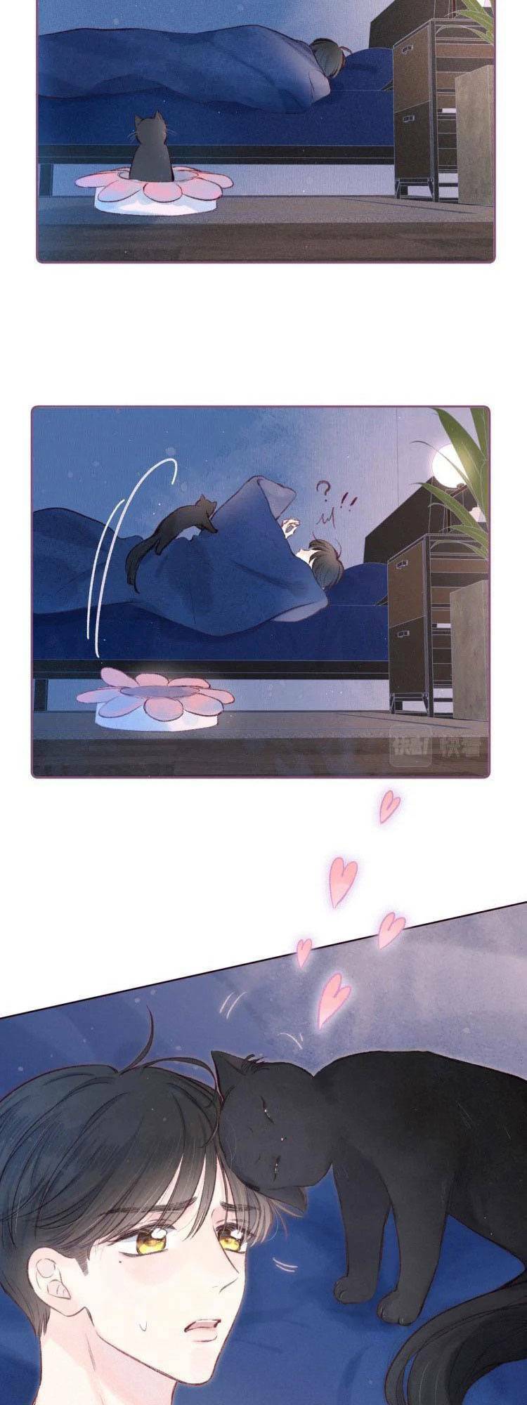 page_11