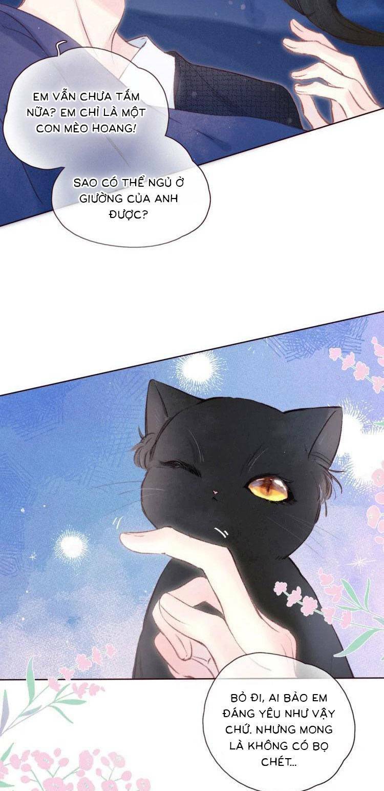page_12